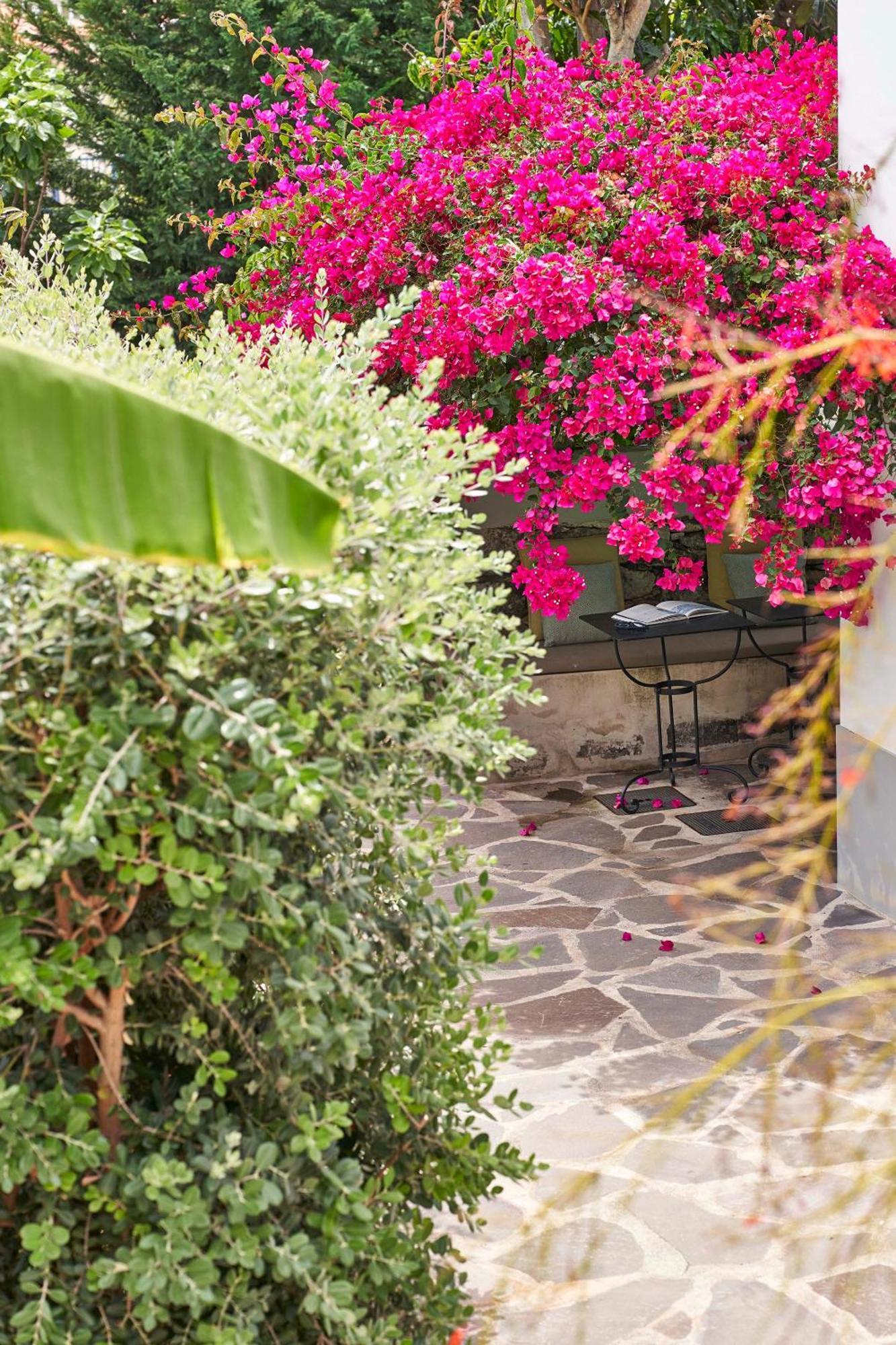 Bordal Houses Funchal  Kültér fotó